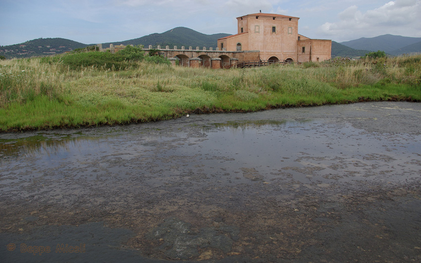 La Diaccia Botrona - Padule di Castiglione della Pescaia